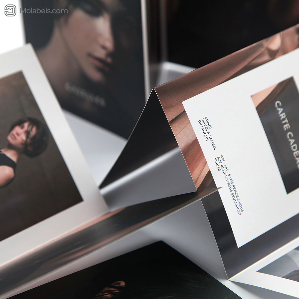  tri fold brochure printing